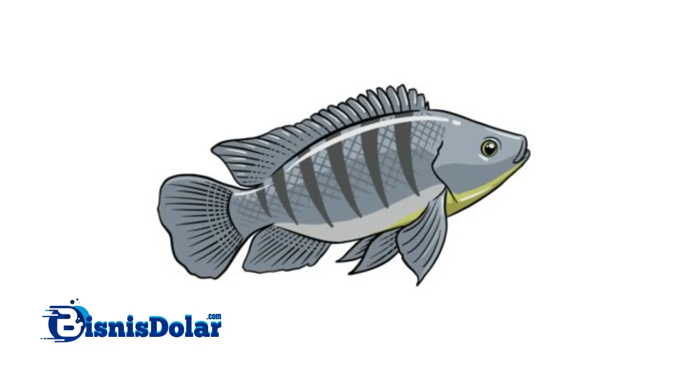 Peluang Bisnis Ikan Nila